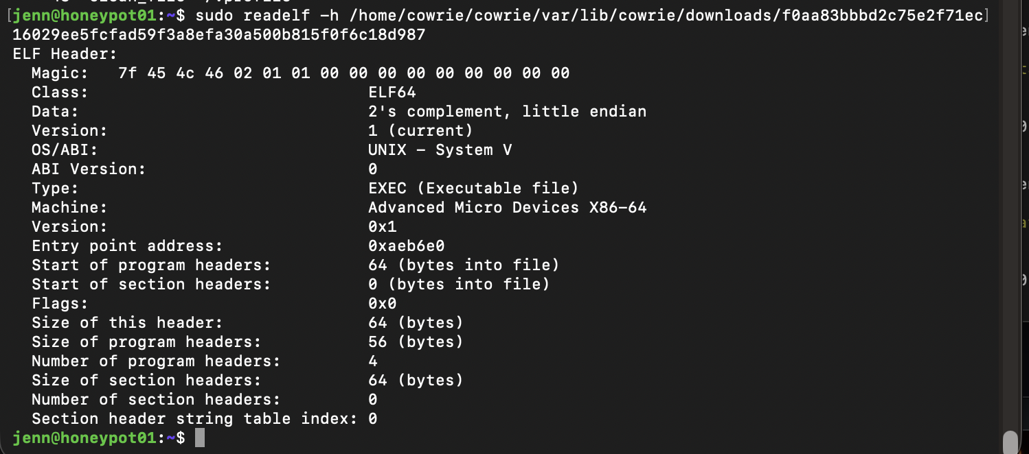 ELF header for the captured x86-64 RedTail binary